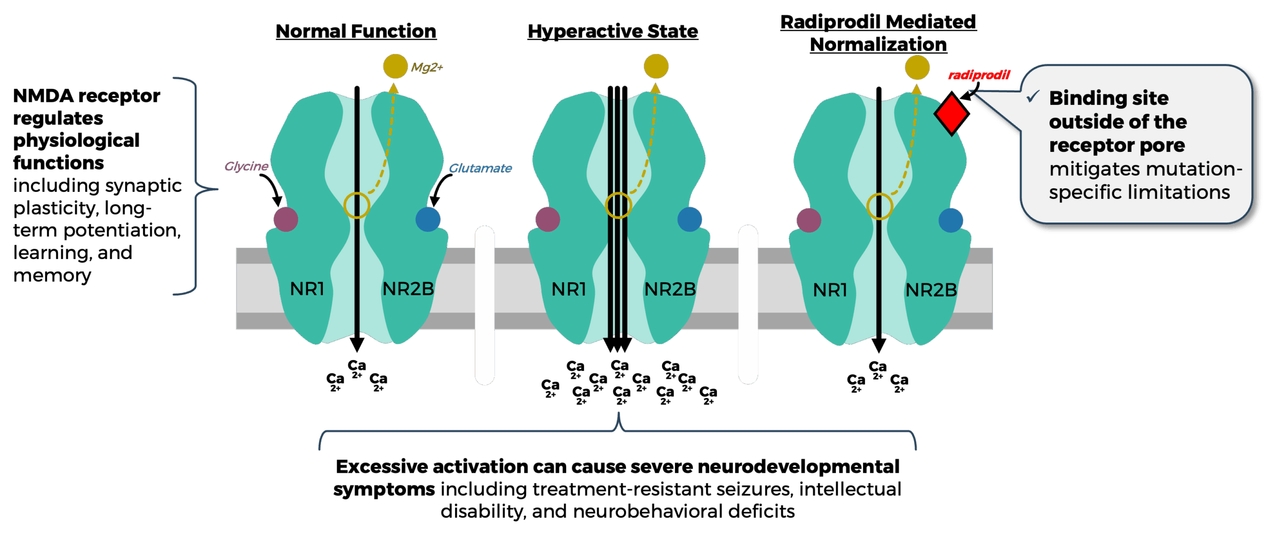 Radiprodil infographic Radiprodil infographic
